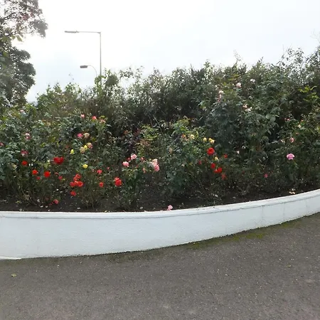 Hillcourt Πανσιόν Clonmel