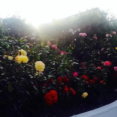 Guest house Hillcourt