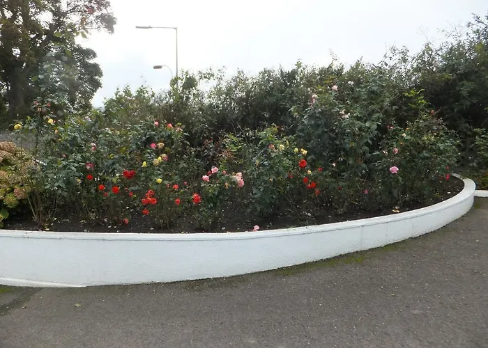 Hillcourt Гостевой дом Клонмел