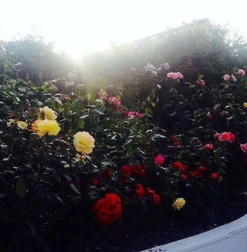 Гостевой дом Hillcourt